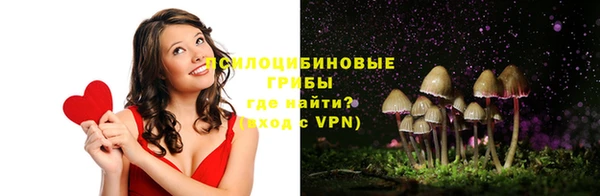 PSILOCYBIN Болохово