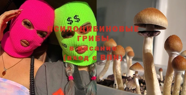 мет Болхов