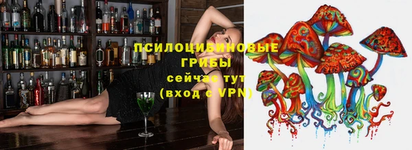 mdpv Болотное