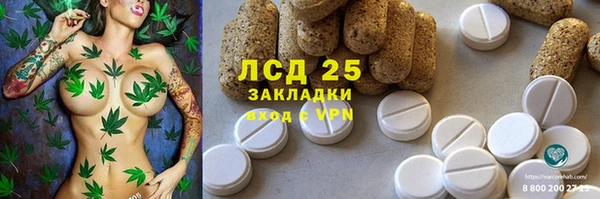 mdpv Болотное