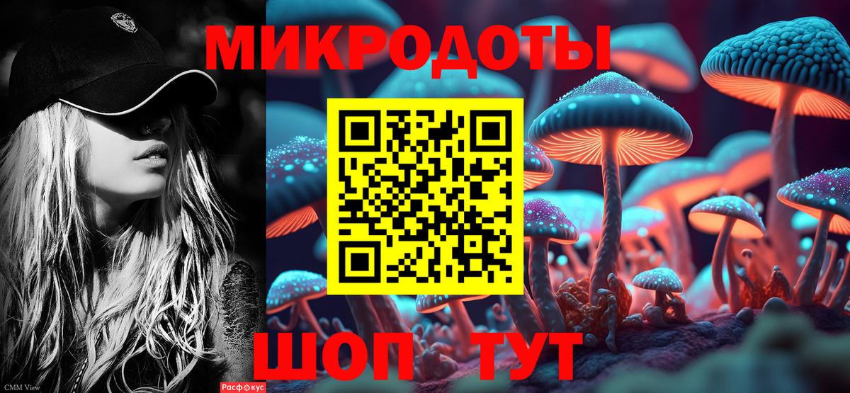 Канск  Псилоцибиновые грибы Psilocybe  Вход с VPN 